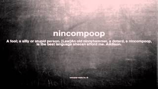 What does nincompoop mean