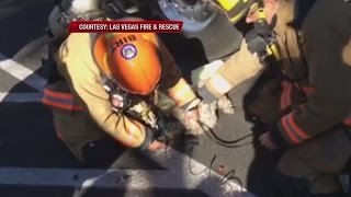 Las Vegas firefighters revive dog after apartment fire