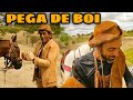 pega de boi No mato parte1 weslley ygor zoinho e champoo