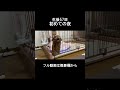 生後57日｜初めての夜