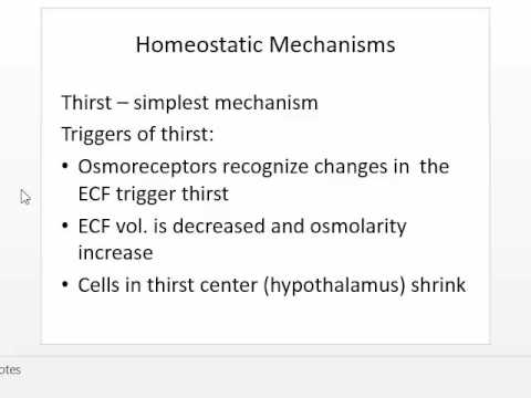 Therapeutic Uses