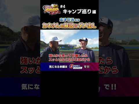 髙津臣吾監督「目を離しちゃいけないぞスワローズ！」 #東京ヤクルト #shorts #ganbarenpb