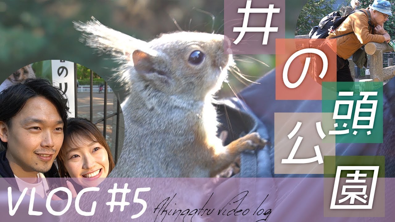 Vlog] I met a squirrel-loving old man ♡ A relaxing stroll date in