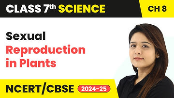 Sexual Reproduction - Reproduction in Plants | Class 7 Science Chapter 8 | CBSE 2024-25