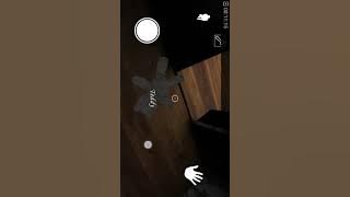 Tiga trio harimau lagi main  granny