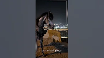 يا عيد كنت و لم تزل 