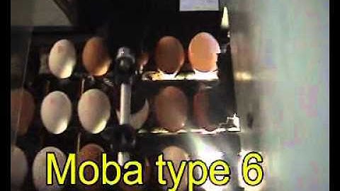 Egg coding EggFlex HeDiPack on Moba 6 grader