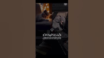 تلاوة من سورة البقرة-القارئ وديع اليمني🎧❤️.  اكتب شئ تؤجر عليه 😔