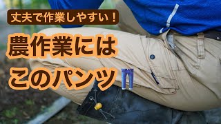 【ワークマンパンツ】3年履き続けてわかった農作業ベストパンツ