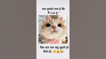 do not ask again🥲 #funny #shortfeed #shortvideo #animallover  #humanity #meme #youtube #shorts