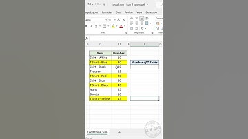 How To Use Sumif Function With Wild Card Character