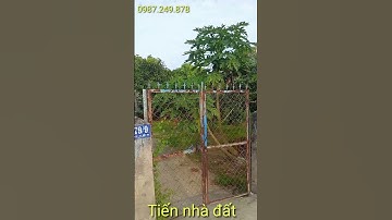 Bán đất cần giờ.  Gần biển cần thạnh 1200m2 có 300m2 thổ cư