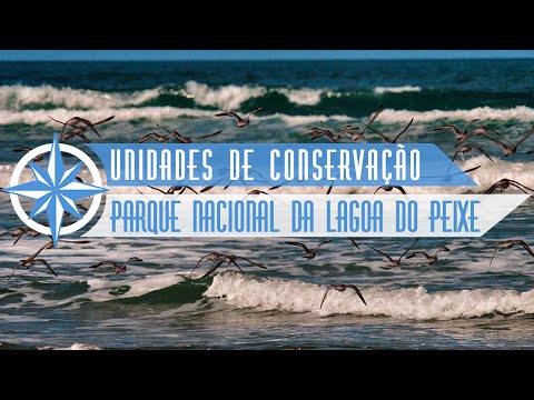 Parque Nacional da Lagoa do Peixe - Episódio 2