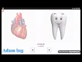 las partes del cuerpo سلسلة تعلم اللغة الإسبانية الدرس 34 أعضاء الجسم mp3
