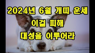 2024년 6월 개띠 운세  이걸피하고 원을 이루셔라