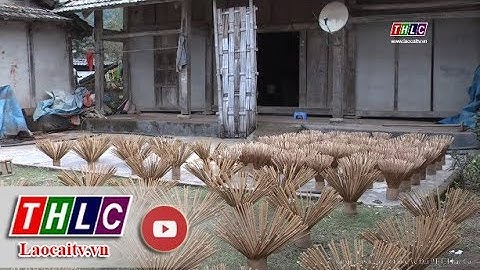 Nghề làm hương truyền thống của người Giáy Mường Hum (Bát Xát) | THLC