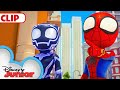 Spidey &amp; Black Panther Save the Panther Pod | Marvel&#39;s Spidey and his Amazing Friends |@disneyjunior