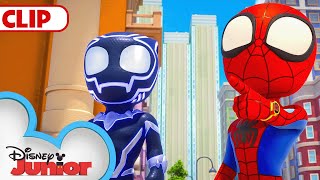 Spidey & Black Panther Save the Panther Pod | Marvel's Spidey and his Amazing Friends |@disneyjunior by Disney Junior 86,530 views 6 days ago 2 minutes