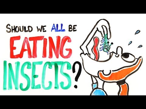 آیا همه ما باید حشرات بخوریم؟