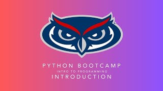 Python Bootcamp (Intro to Programming) | Introduction Video | What will you learn