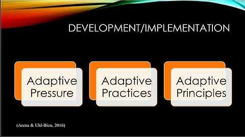 Fassler Complexity Leadership Theory Presentation