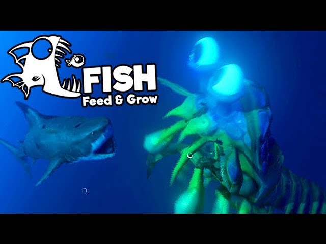 Feed and Grow Fish Gameplay German - Shrimp Vs. Great White Shark - YouTube
