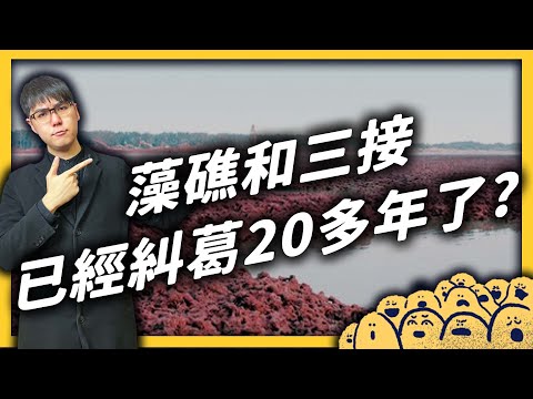 三接為何要蓋在大潭？大潭藻礁有多稀有？解密藻礁與三接超過 20 年的糾葛！珍愛藻礁公投爭議剖析（上集）｜志祺七七