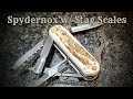 Spydernox SAKmod Build with Stag Scales