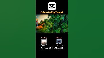 Capcut Color Grading Tutorial 🔥 | #videoediting #capcut #tutorial #shorts