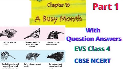 Question Answers | A Busy Month | Chapter 16 | EVS Class 4 | CBSE NCERT | Best in Hindi