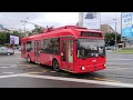 Belgrade Buses Trams and Trolleybuses Extravaganza 15 May 2019