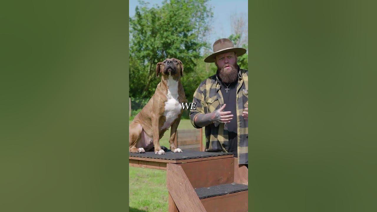 How To Stop Your Dog From Chewing YouTube