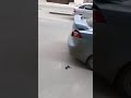 Водителю иномарки в Воронеже отомстили за неправильную парковку