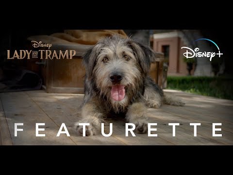 Lady and the Tramp | Adoption Featurette | Disney+