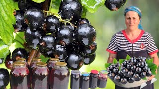We Picked Currants How to make Blackcurrant Compote and Jam villagelife currant 