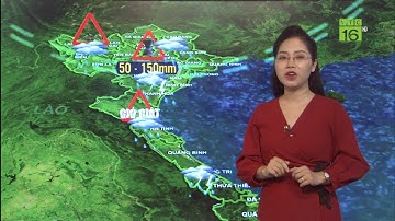 Thời tiết ngày mai 01/08/2021 | Bắc Bộ mưa to đến rất to, mưa kéo dài đến 02/08 | VTC16