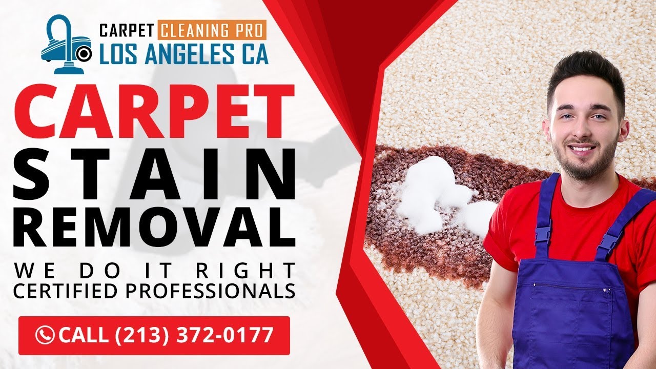 Carpet Stain Removal Norwalk CA Call Now (213) 3720177 YouTube