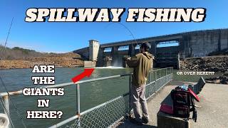 Does this Spillway Really Hold Giants