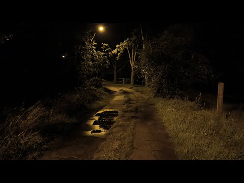 Ace Savage Scheming 1 HOUR LOOP Slowed Reverb 432 Hz