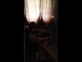 Daddy rocking baby || cute baby videos #shorts