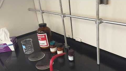 1 Melting Point Sample Prep