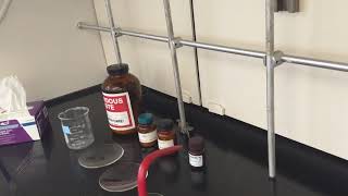 1 Melting Point Sample Prep