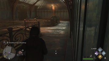 Hogwarts Legacy Day 3