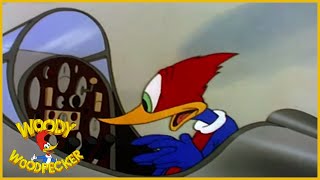 Woody Woodpecker | Woody Learns To Fly | Full Episodes