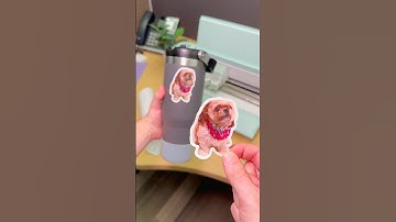 Turning Photos into Stickers 📸⚪️ (make stickers of your pets!) #diy