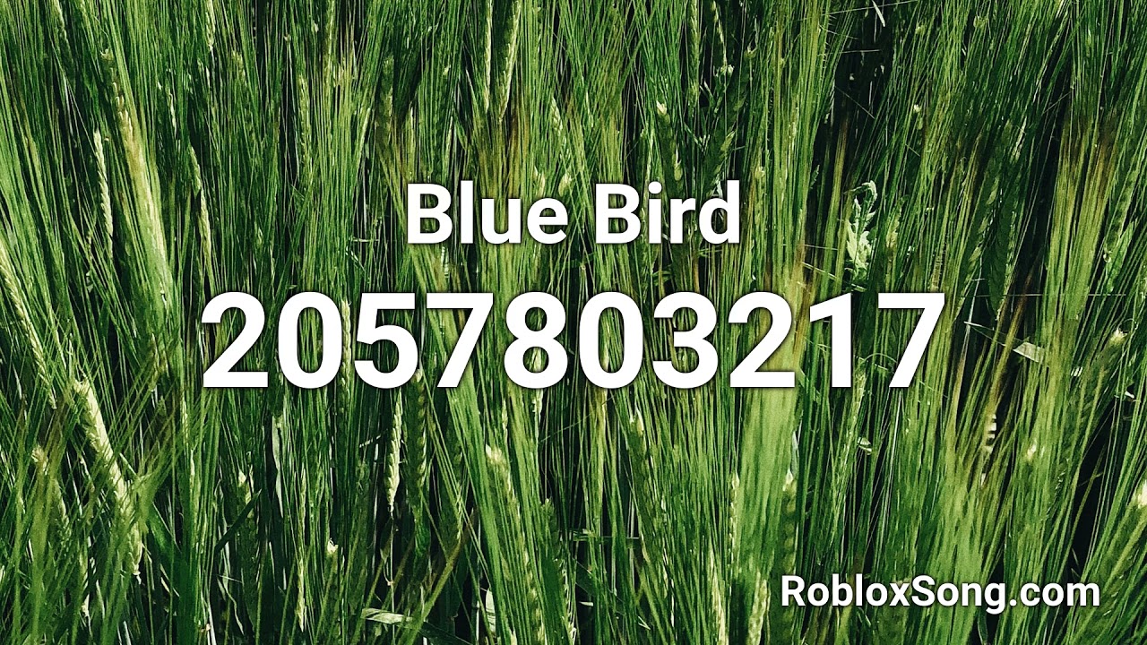 Blue Bird Roblox Id Roblox Music Code Youtube - blue bird roblox id code