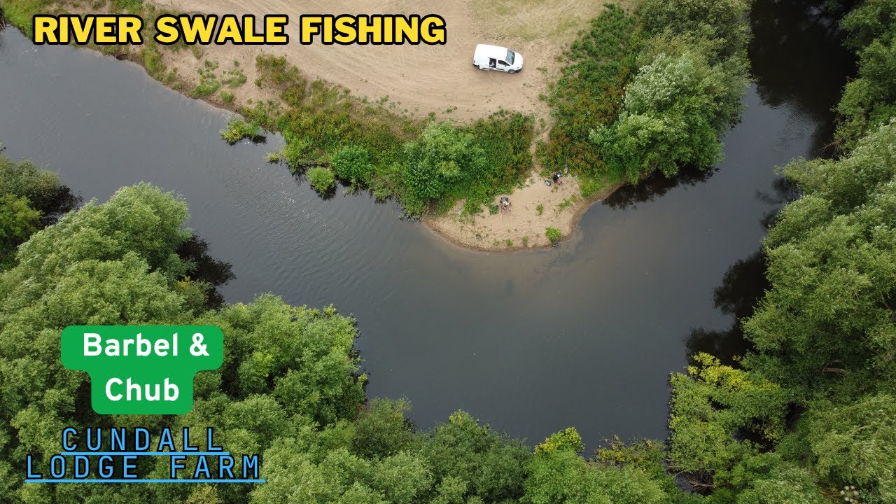 RIVER SWALE BARBEL FISHING CUNDALL FARM