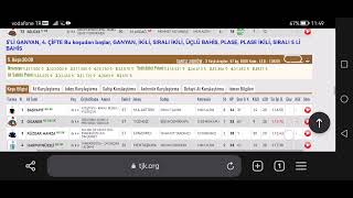 10 Mayıs 2023 Çarşamba Elazığ At yarışı tahminleri Elazığ Altılı Ganyan tahminleri