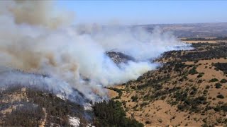 Incendios forestales destruyen 60 casas en chilena Valparaíso