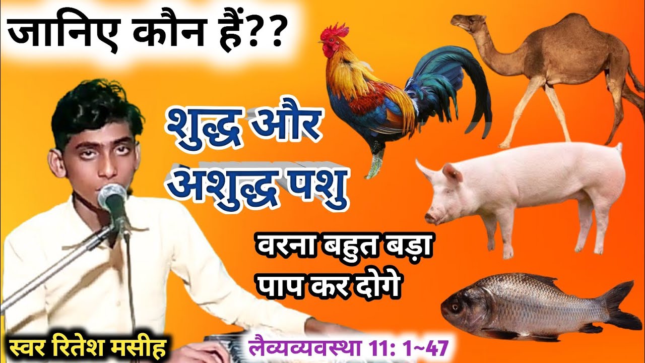 जानिए कौन है शुद्ध और अशुद्ध पशु!! गायकी के माध्यम से!! प्रभु आपको बहुत आशीष दे!! #biblestory